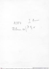 Historisches Foto (Rückseite) von Bullariscus patruliusi (Robins, Feldmann & Schweitzer, 2013) (NHMW-AFW-GEO-BACHMAYER-FOTO-1990-0041-3524)